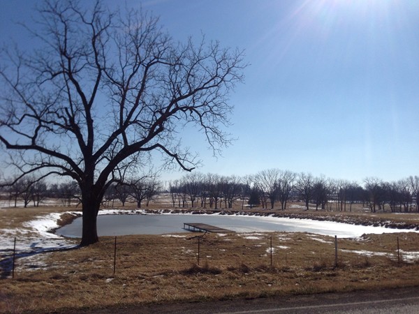 A frozen pond in the middle of a pasture. So soothing! 