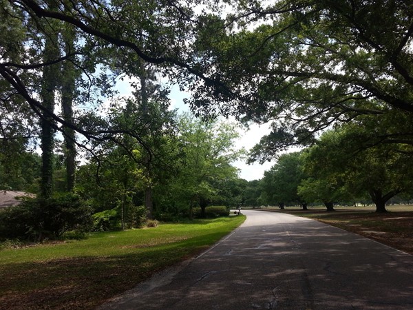 Pinecrest Drive is the tree-lined main street of Tchefuncta Club Estates