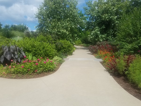Which path to choose? Tulsa Botanic Garden has a lot to choose from