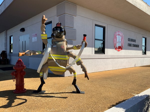Central Fire Station weevil