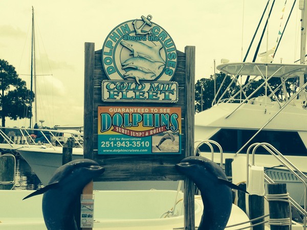 If you want to see Dolphins, check out this local favorite.  Located inside Orange Beach Marina