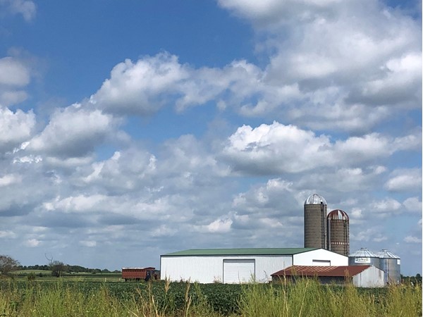 Blue skies overhead on the farm 