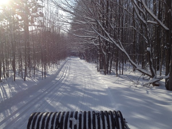 A freshly groomed cross country trail at Boyne Mountain. Classic or skate; both are great
