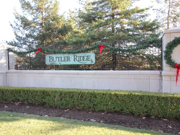Welcome to Butler Ridge