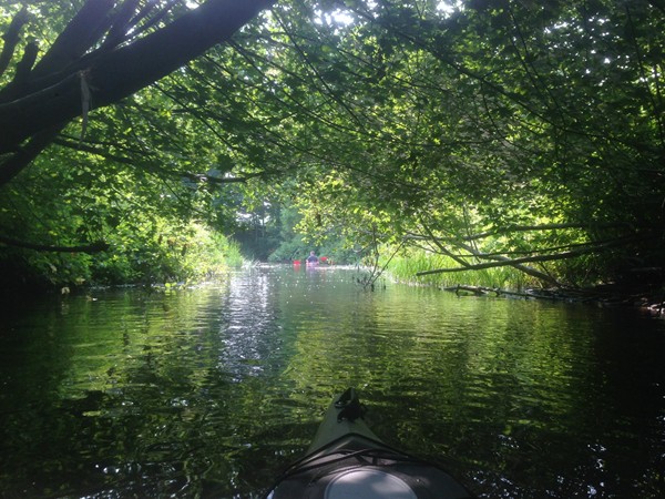 Pigeon River is a popular kayak or canoe destination. Near Hemlock Crossing in Ottawa County Park