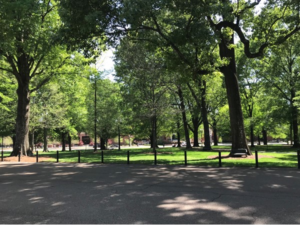 The Grove at the University of Mississippi