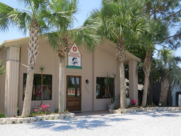 Looking for a great vet?  Visit the Canal Road Animal Hospital