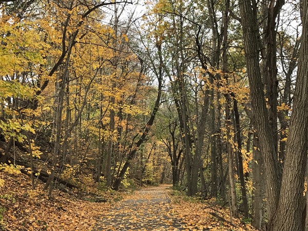 Cedar Falls is home to many great trails for biking, running, walking and skiing