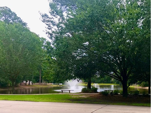 Greenleaves Subdivision has a pond with bench along the walking trail