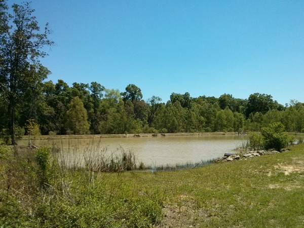 The Landing of Mallard Lakes lake located in rear of development.