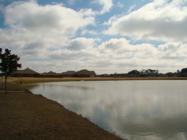 The year round pond attracts birds to the community and it's stocked with brim!