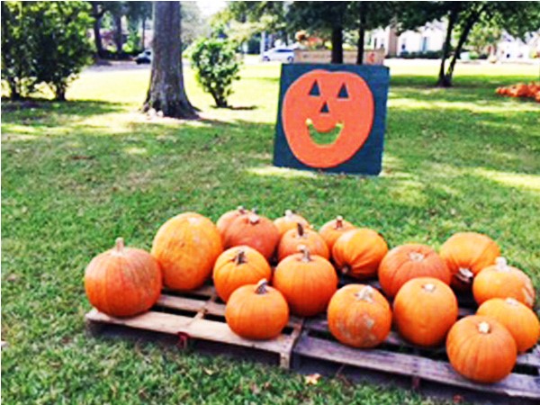 Create new fall memories. Visit the Great Pumpkin Patch in Alexandria Garden District