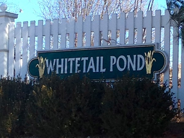 Whitetail Pond Subdivision 