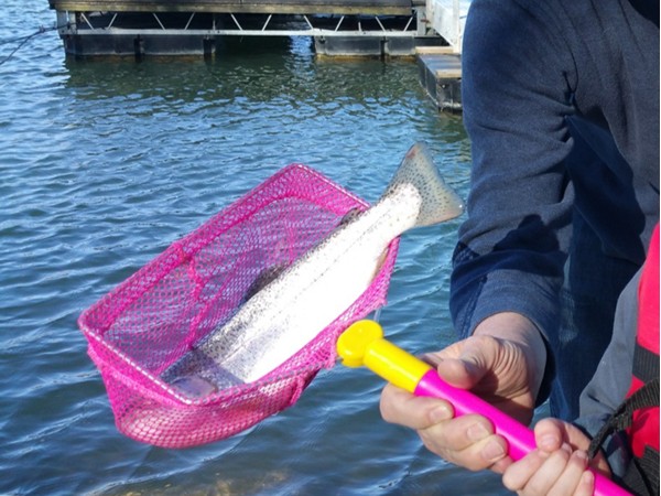 Rainbow trout fishing is fun for the whole family on Riss Lake