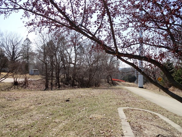 Vacant lot along the Mississippi River Trail on South Grandview Avenue.  A great place to walk