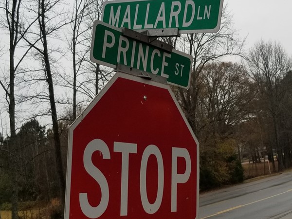 An entrance into Mallard Lane