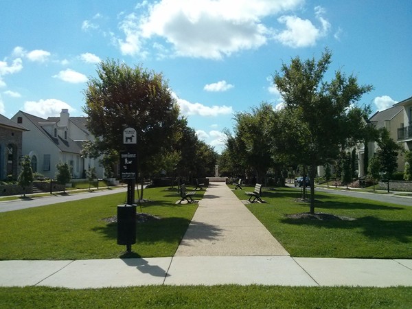 Community green space with benches between two streets in The Settlement at Willow Grove