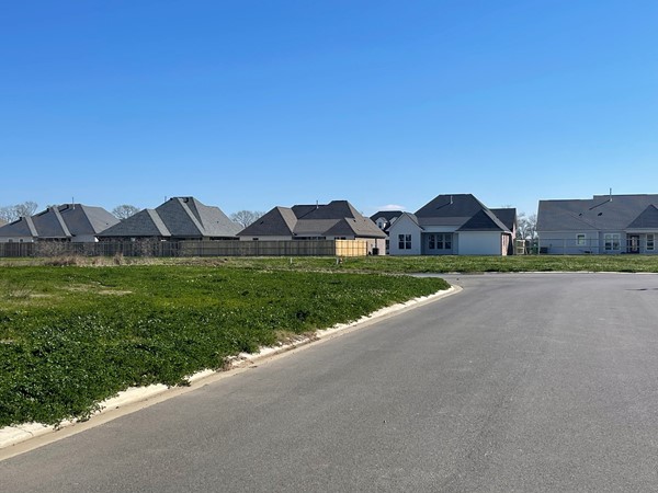 Central Village street view