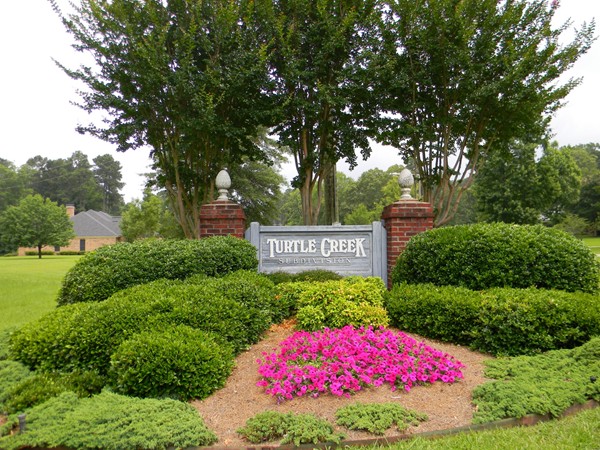 Charming subdivision located very close to the Cedar Creek School Complex