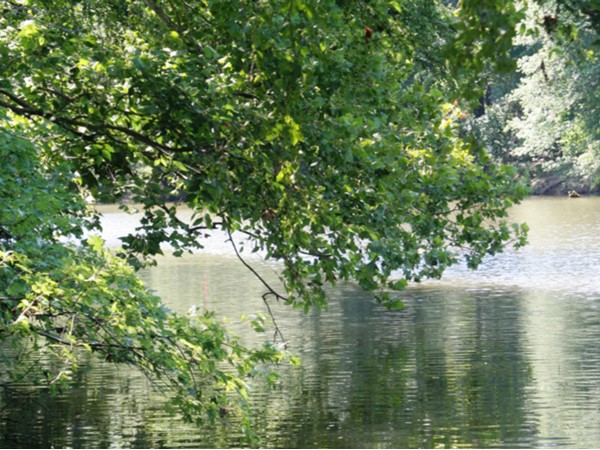 Kiamichi River near Clayton