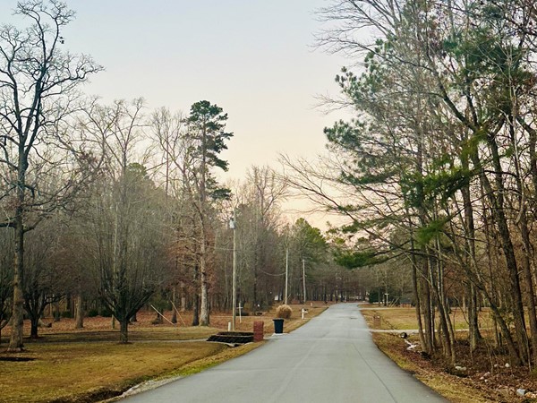 Large lots in Springhill Farms 
