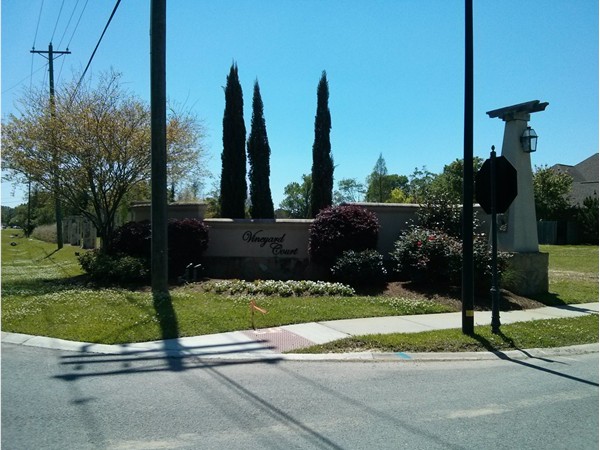 Entrance off of Vignes Rd. into Vineyard Court subdivision.