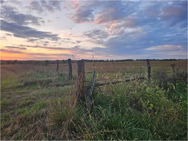 Open fields are the perfect place to watch the sunset. 