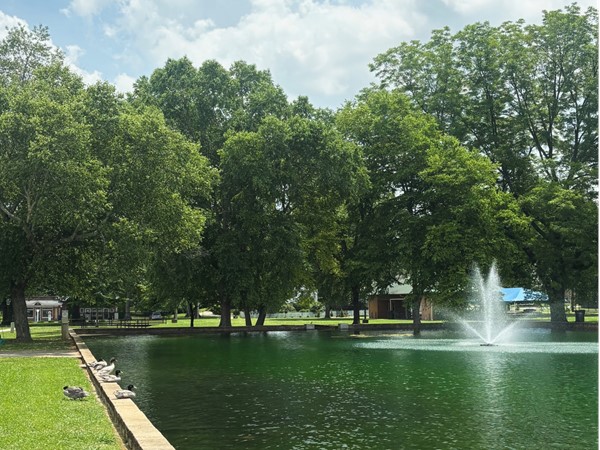 Big Spring Memorial Park is very beautiful and offers activities like Pickleball 