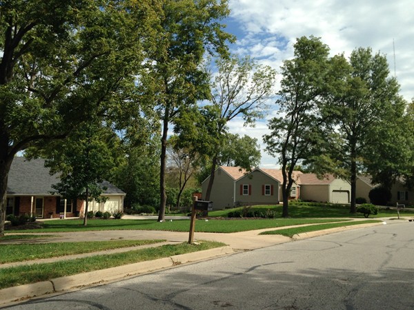 Homes with large yards in the Orchards Neighborhood