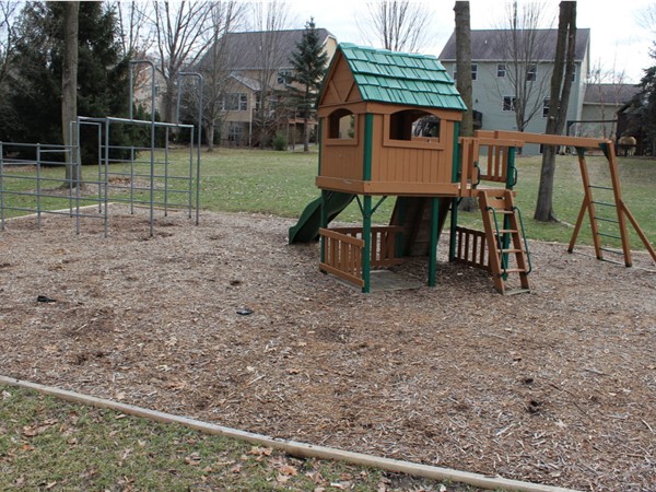Play area in Ryann Ridge