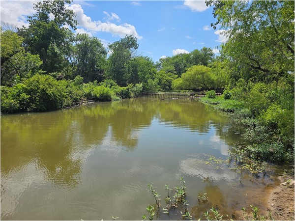 Shaded banks, still water, and the soft sounds of nature—this hidden spot at Chase Lake is pure calm