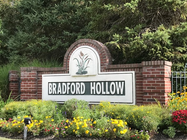 Welcome to Bradford Hollow
