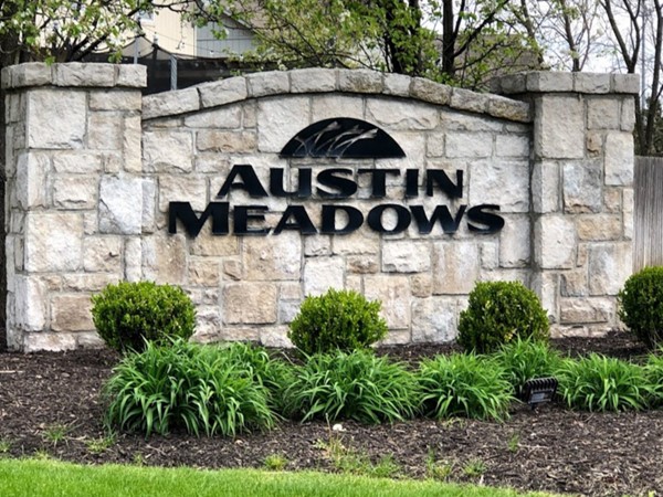 Austin Meadows has an active HOA and is a well cared for community