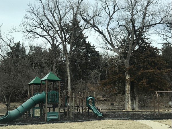 The park has several playgrounds throughout were kids can run, play and enjoy being outside 