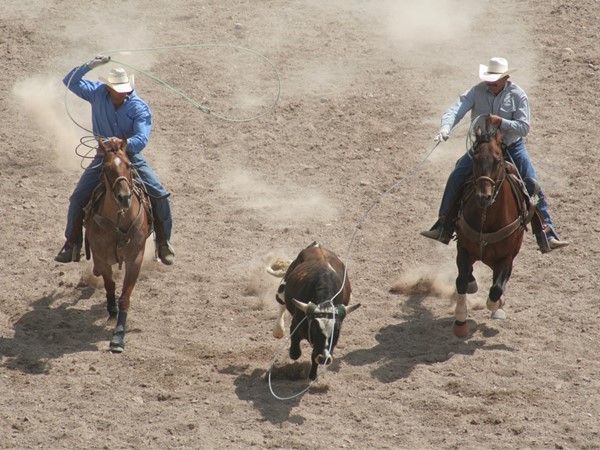 Team roping in Poteau, OK's Cowboy Country