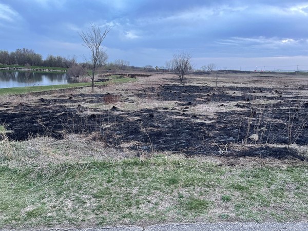 The City of Cedar Falls completed a spring burn in the prairie area by Prairie Lake