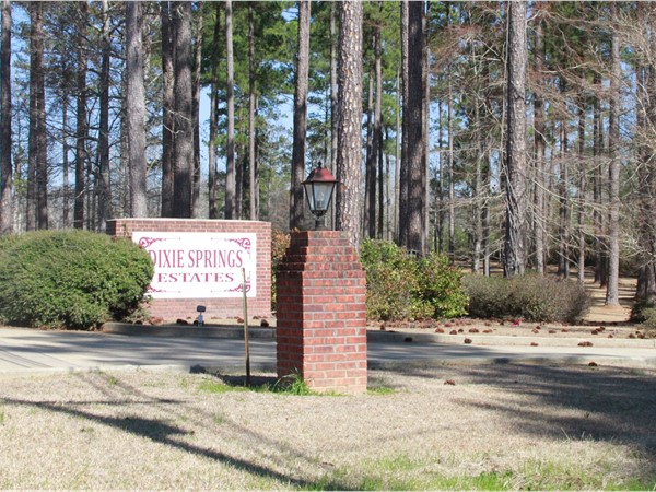 Dixie Springs Estates is a great subdivision in Summit, MS in the North Pike School District