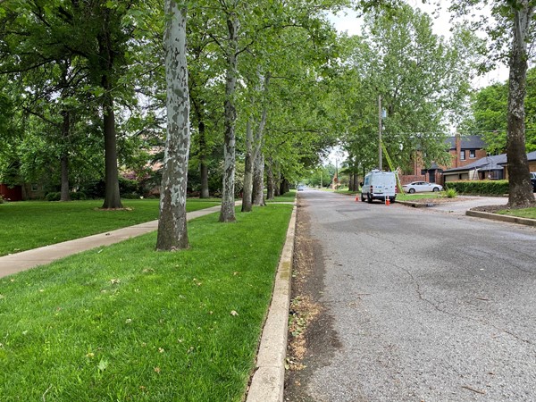 Street view of Linwood Place