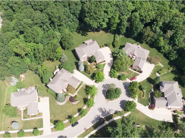 The Enclave is a private, seven house HOA on this dead-end court with Plymouth-Canton Schools