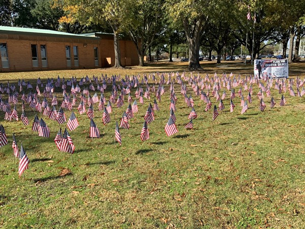Flags for forgotten soldiers at the campus of Enterprise Community College