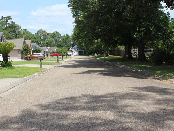 Street view of Lakewood 
