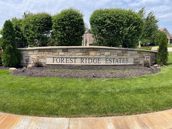 Forest Ridge Estates has new construction homes ranging from $800-$1.2m 