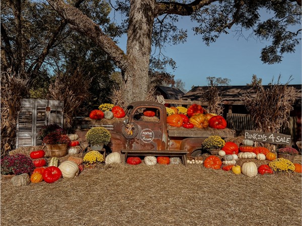 Beautiful Penton Farms Pumpkin Patch in Verbena