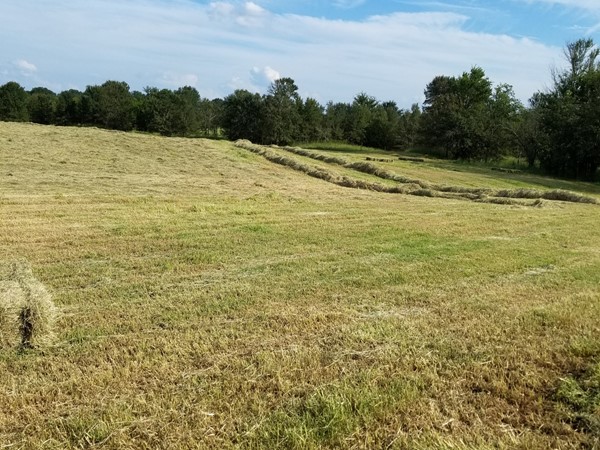 Beautiful day in Leflore County  in Southeastern Oklahoma.  Hay is curing and baling up great