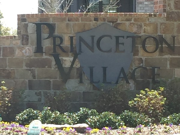 Princeton Village Subdivision off of College and Prince