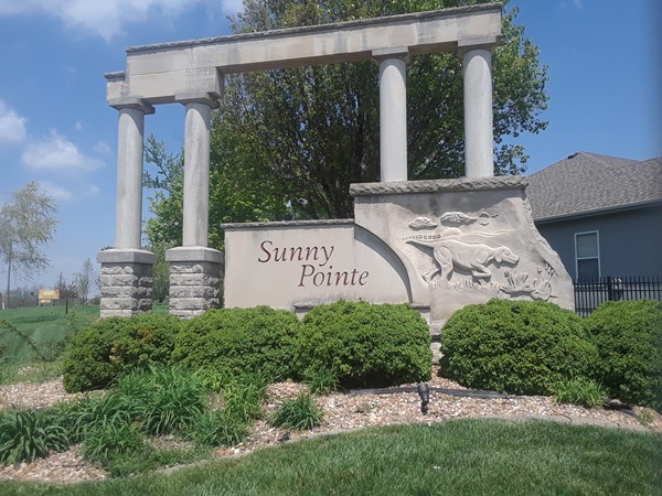Still time to get a new home at Sunny Pointe