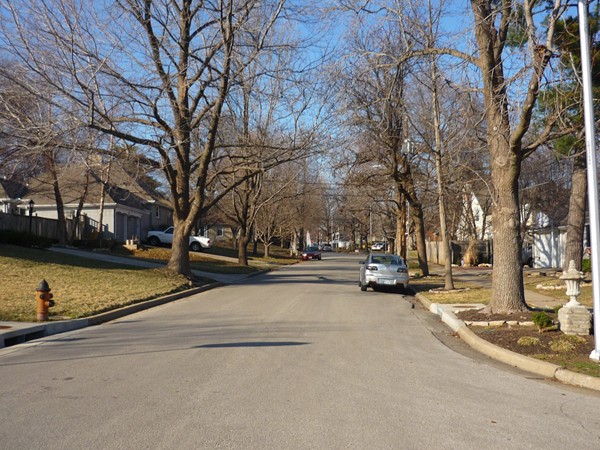 Cherry Street from East 66th Terrace in Armour Hills Gardens looking north