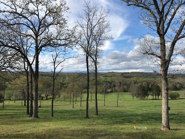 Spring in the Arkansas River Valley