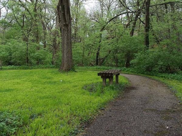 Quail Creek walking trail has benches to rest on along the way