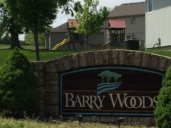 Welcome to Barry Woods